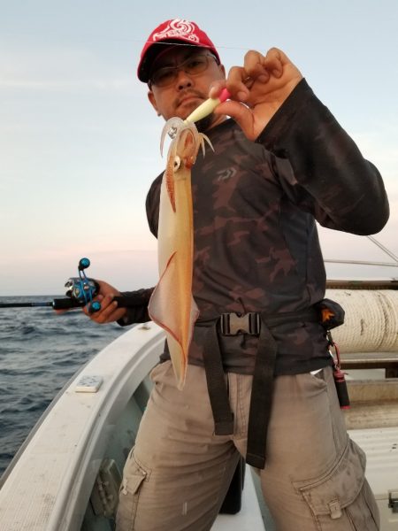 アマテラス 釣果