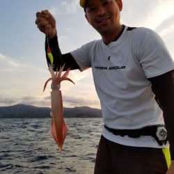 アマテラス 釣果