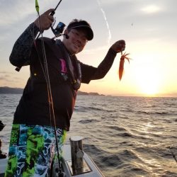 アマテラス 釣果