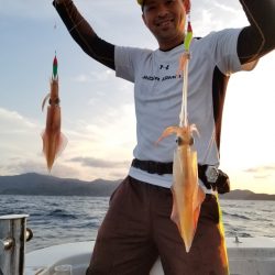 アマテラス 釣果