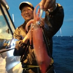 アマテラス 釣果