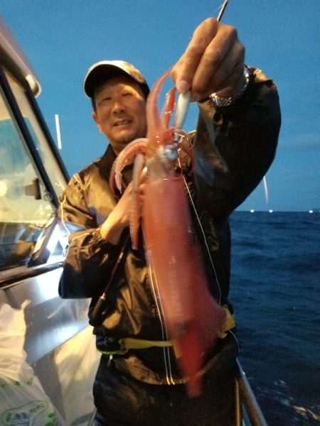 アマテラス 釣果