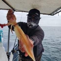 ソルトウォーターガイドフレンズ 釣果