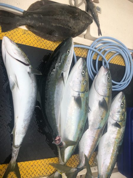 海友丸 釣果