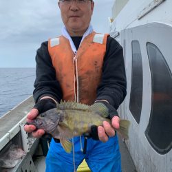 シーランチ 釣果