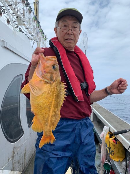 シーランチ 釣果