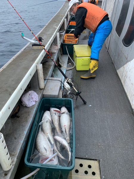 シーランチ 釣果