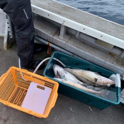 シーランチ 釣果