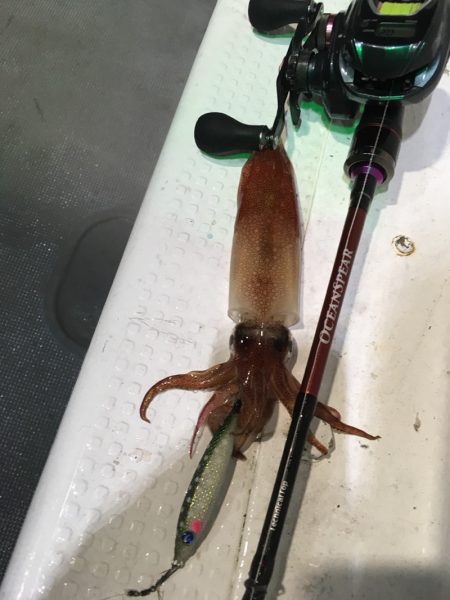 渡船屋たにぐち 釣果