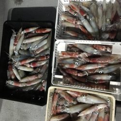 渡船屋たにぐち 釣果