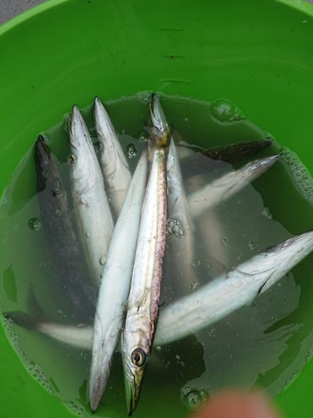 ありもと丸 釣果