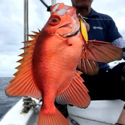 渡船屋たにぐち 釣果