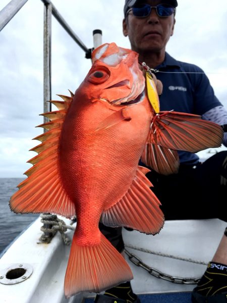 渡船屋たにぐち 釣果