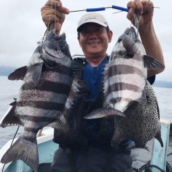 渡船屋たにぐち 釣果