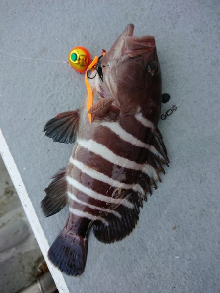 ありもと丸 釣果