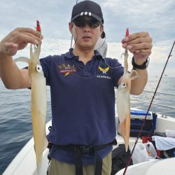 ソルトウォーターガイドフレンズ 釣果