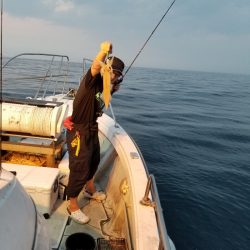 アマテラス 釣果