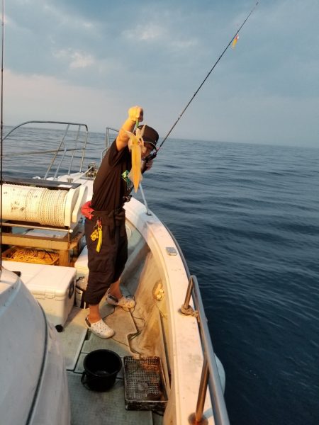 アマテラス 釣果