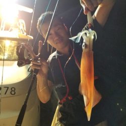 アマテラス 釣果