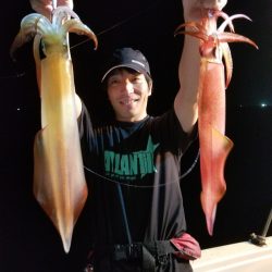 アマテラス 釣果