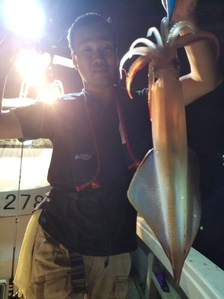 アマテラス 釣果