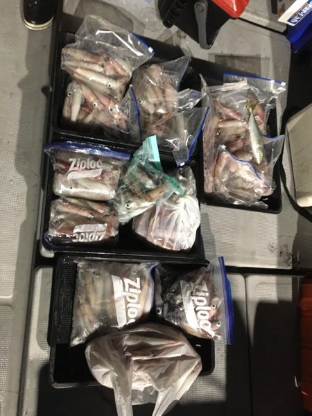 渡船屋たにぐち 釣果