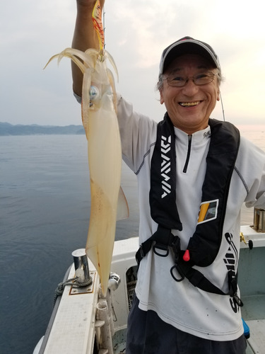 アマテラス 釣果