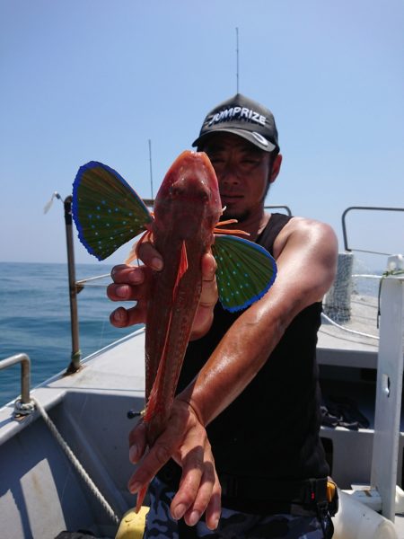 ありもと丸 釣果