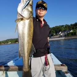 アマテラス 釣果