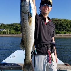 アマテラス 釣果