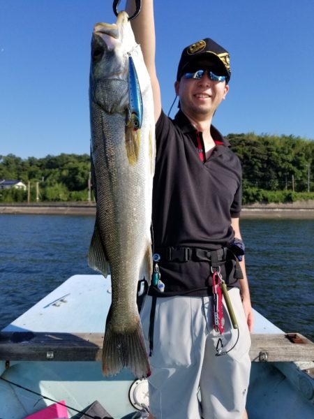 アマテラス 釣果