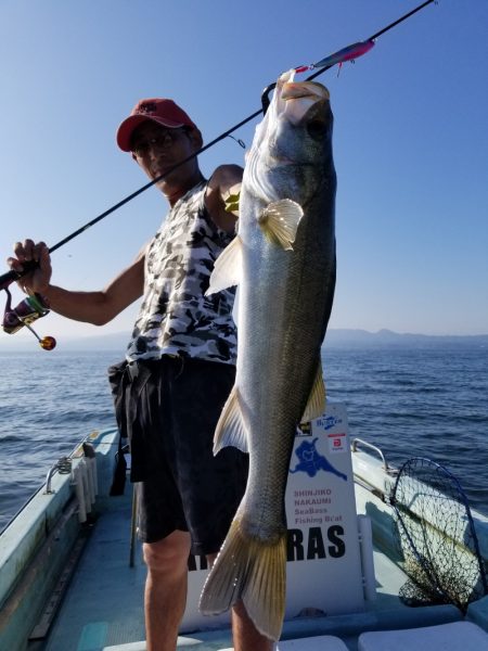 アマテラス 釣果