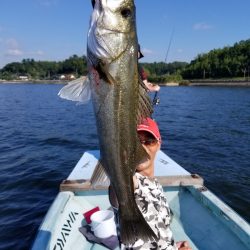 アマテラス 釣果