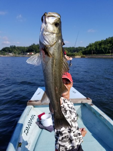 アマテラス 釣果