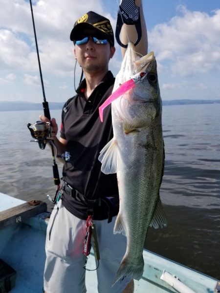 アマテラス 釣果