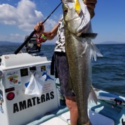 アマテラス 釣果