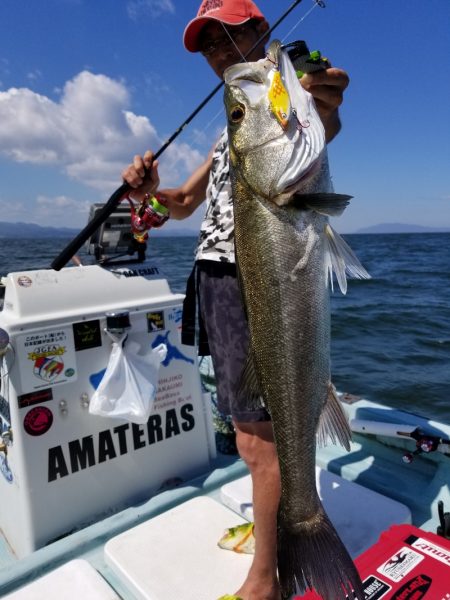 アマテラス 釣果