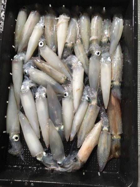 渡船屋たにぐち 釣果