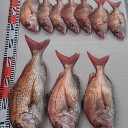 遊漁船 家入 釣果