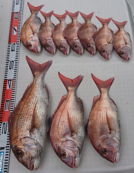 遊漁船 家入 釣果