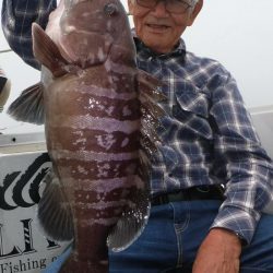 ブルースフィッシングサービス 釣果