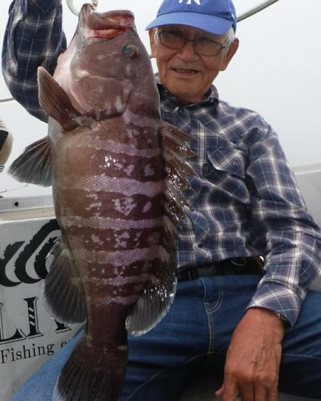ブルースフィッシングサービス 釣果