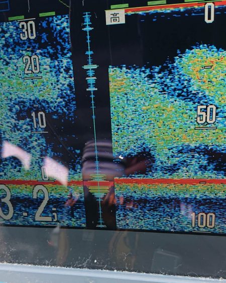 ブルースフィッシングサービス 釣果