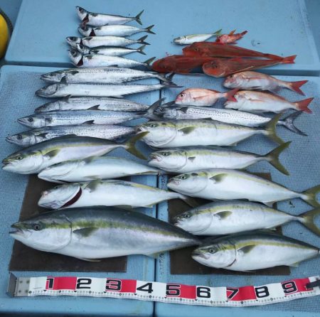 清和丸 釣果