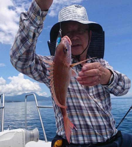 遊漁船 家入 釣果