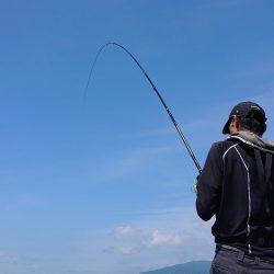 シースナイパー海龍 釣果