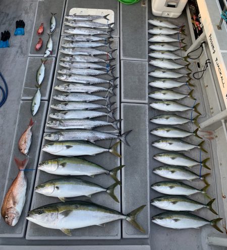 SeaRide(シーライド) 釣果