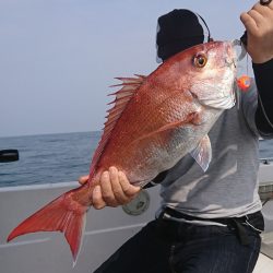 遊漁船 家入 釣果