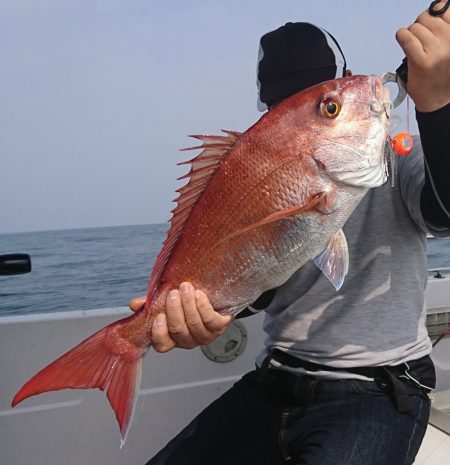 遊漁船 家入 釣果