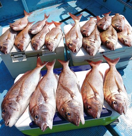 シースナイパー海龍 釣果